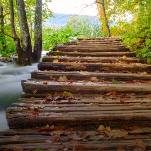 Sat, November 18, 2017 - Grounding Your Gratitude - 4 Hour Samples