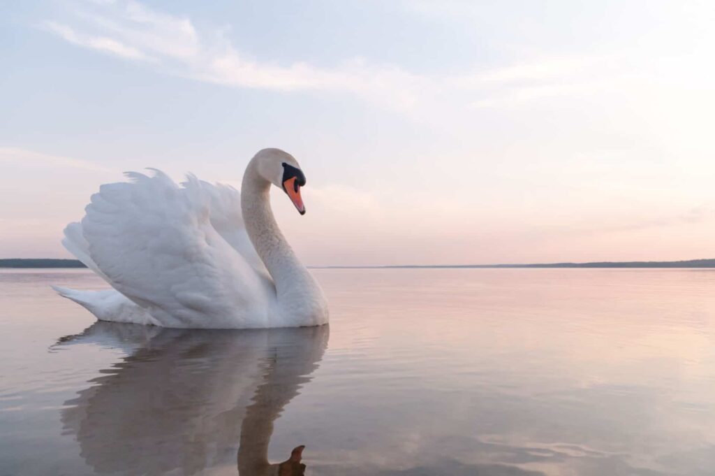 Product 'Sat, December 8, 2018<br>Slipping Into Quiet' Image
