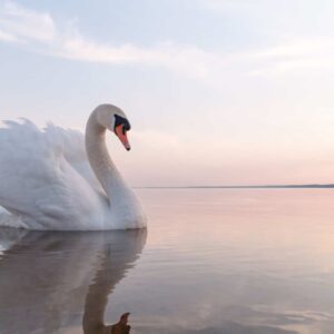 Sat, December 8, 2018<br>Slipping Into Quiet