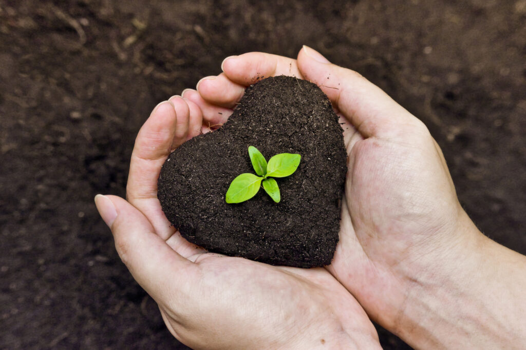 Product 'March- May 2019<br>Spring Module:<br>Cultivate your<br>personal power' Image
