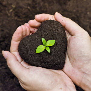 March- May 2019<br>Spring Module:<br>Cultivate your<br>personal power