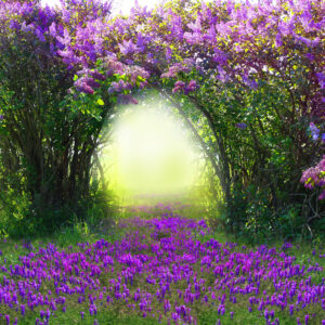 June - Sept. 2018<br>THOUGHT BODY SUMMER RETREAT MODULE