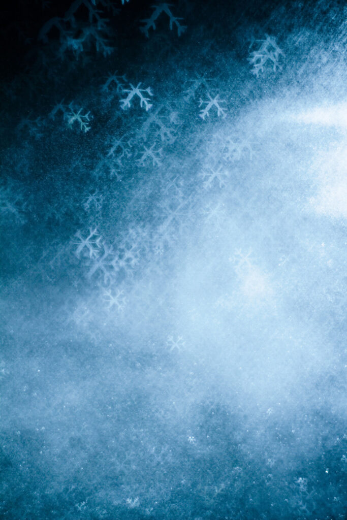 Product 'December 2018 - 2019<br>WINTER MODULE<br> THE PHYSICAL BODY' Image